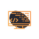 Software Developer